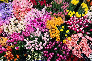 《女神异闻录3：Reload》Steam页面更新 已添加D加密