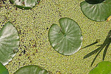 两位长腿美女太吸睛！索尼香港宣传《宇宙机器人》